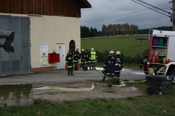 Herbstübung 09 - 