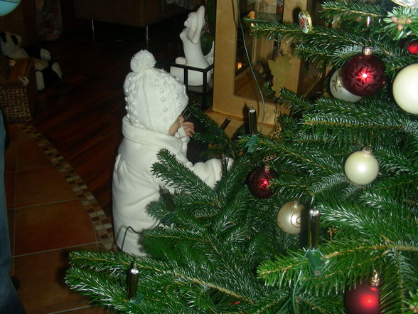 Weihnachten 2008 - 