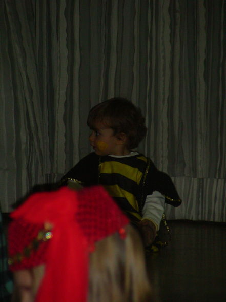 Fasching 2009  - 