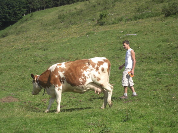 Lj Sommerausflug 09 - 