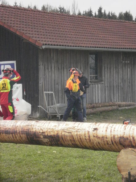 Forstwettbewerb 2010 - 