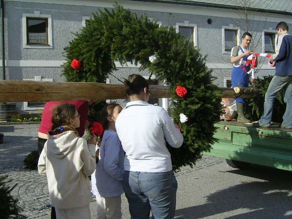 Maibaum aufstellen - 