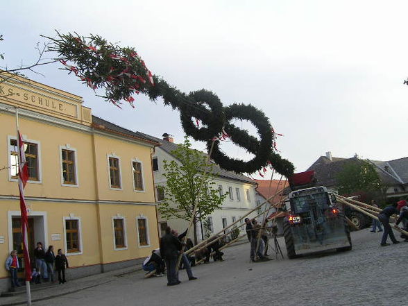 Maibaum aufstellen - 