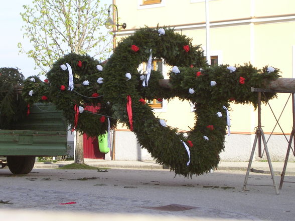 Maibaum aufstellen - 