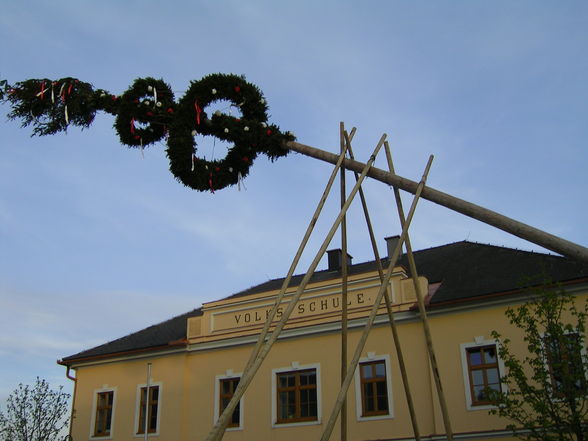 Maibaum aufstellen - 