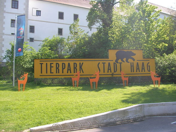 Katzi und Tierpark - 