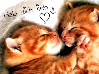 Des san Liebe und Lustige Sochan - 