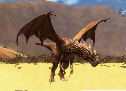 Drachen - 