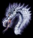 Drachen - 