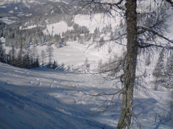 Skifohrn Gosau - 