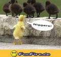 humor geht vor - 