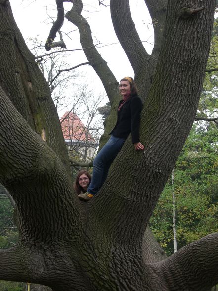 die natur mit all ihren natürlichkeiten - 