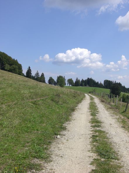 die natur mit all ihren natürlichkeiten - 