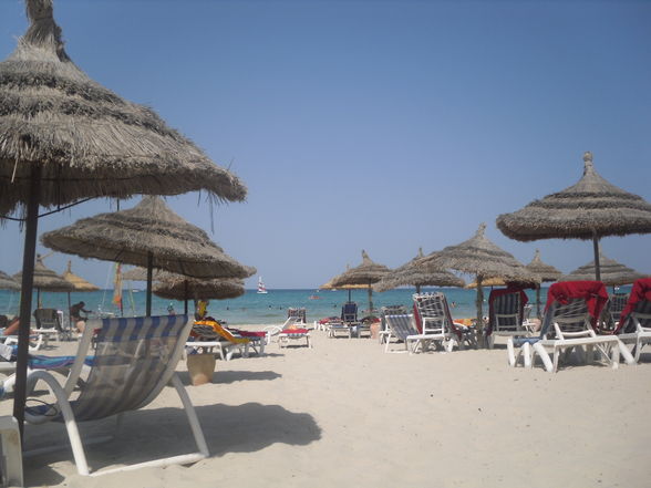 Insel Djerba - Traumurlaub . - 