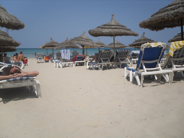 Insel Djerba - Traumurlaub . - 