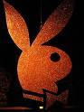 PlayboY - 