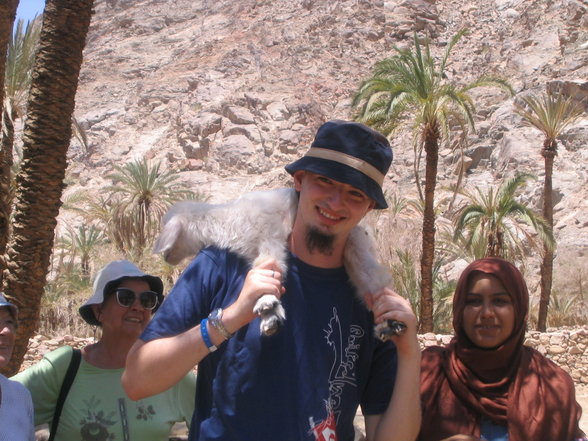 Urlaub in Ägypten 2007 - 