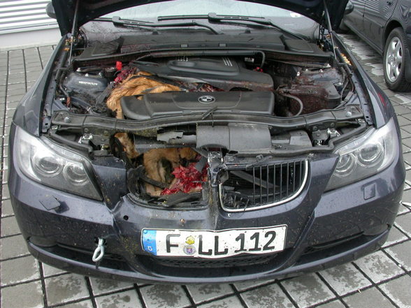 Wildgulasch ala BMW - 