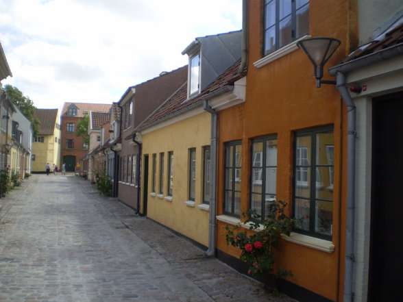 DAnmaRk 2007 - 