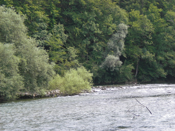 Von Laakirchen nach Gmunden - 