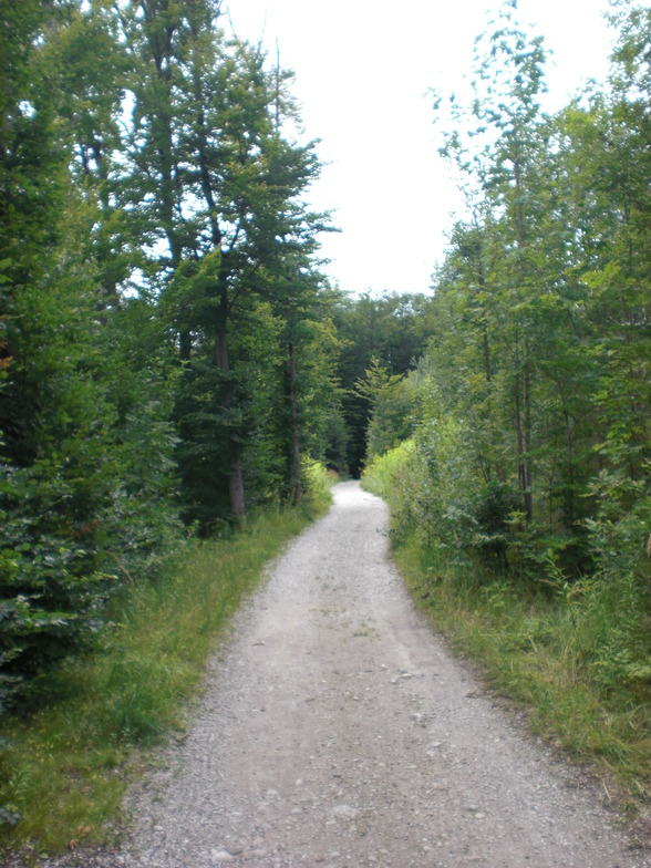 Von Laakirchen nach Gmunden - 