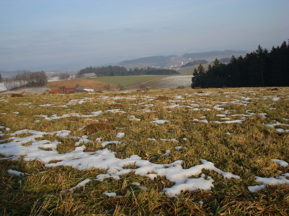 Mühlviertlerland - 