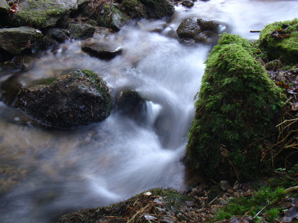 Mühlviertlerland - 