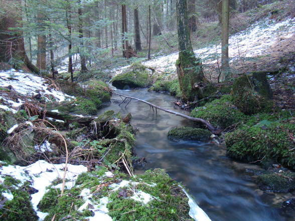 Mühlviertlerland - 