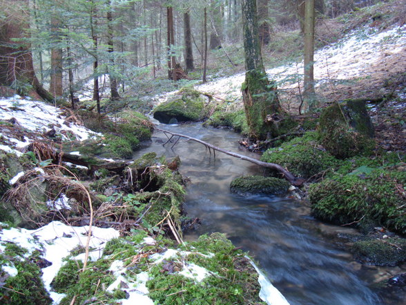 Mühlviertlerland - 