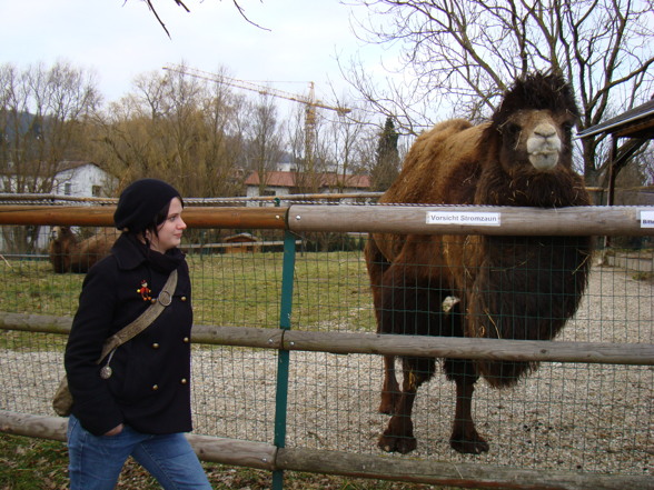 Tierpark Pöstlingberg - 