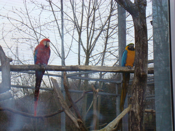 Tierpark Pöstlingberg - 