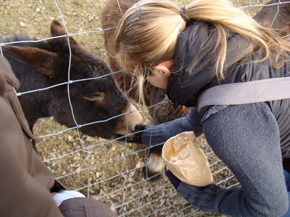 Wildpark Altenfelden - 