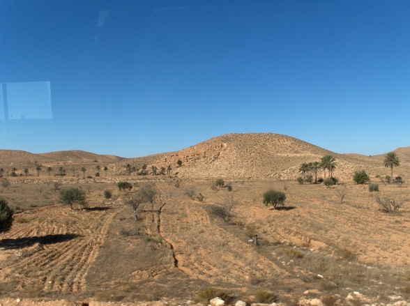 Djerba + Sahara - 