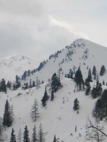 Lämmertörlkopf 2046m - 