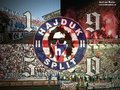 hajduk - 