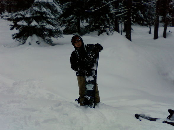 Snowboardn - 