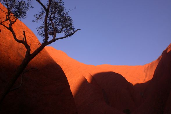 Uluru und Kata Tjuta - 