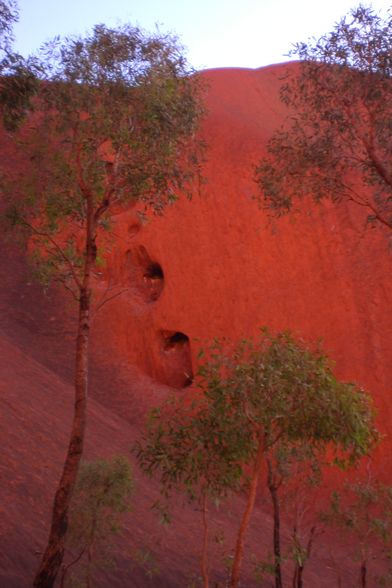 Uluru und Kata Tjuta - 