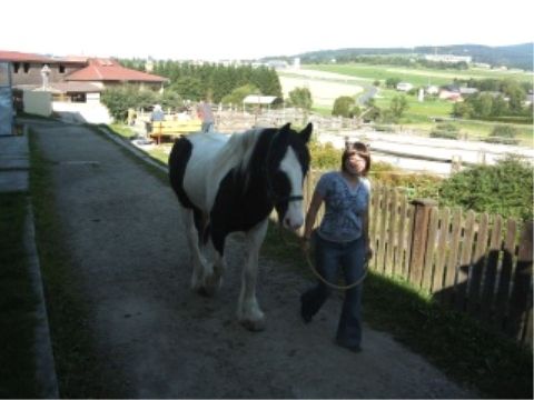 Wanderreitführer Fortbildung 08 - 