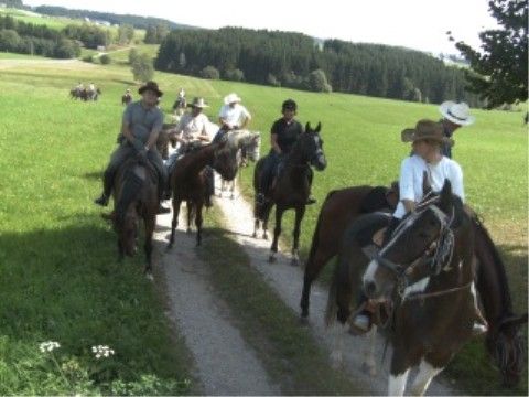 Wanderreitführer Fortbildung 08 - 