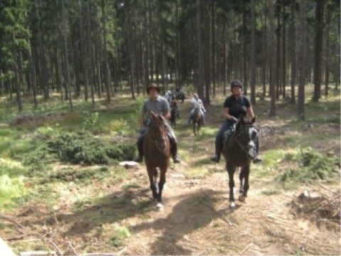 Wanderreitführer Fortbildung 08 - 