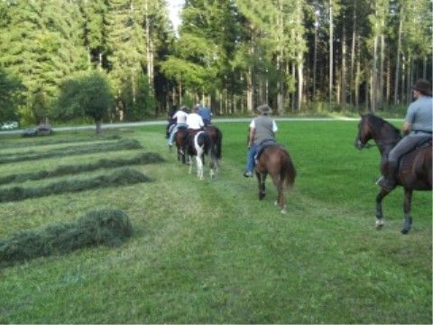 Wanderreitführer Fortbildung 08 - 