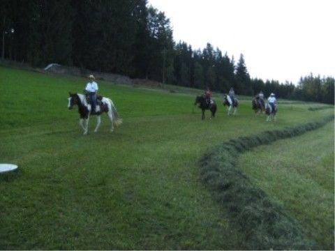 Wanderreitführer Fortbildung 08 - 