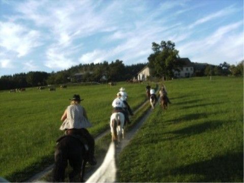 Wanderreitführer Fortbildung 08 - 