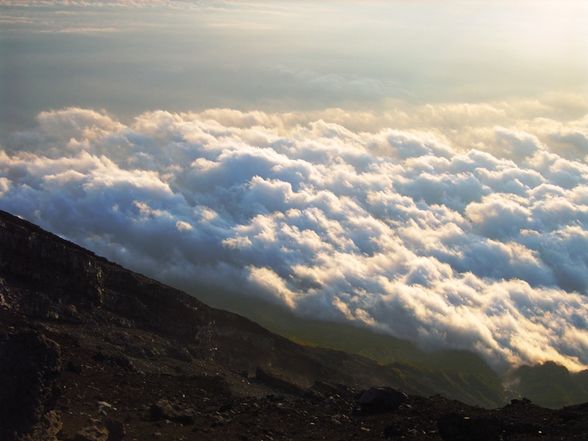 FUJI-san - 