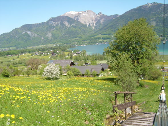 Sommerrodeln Beim Wolfgangsee - 