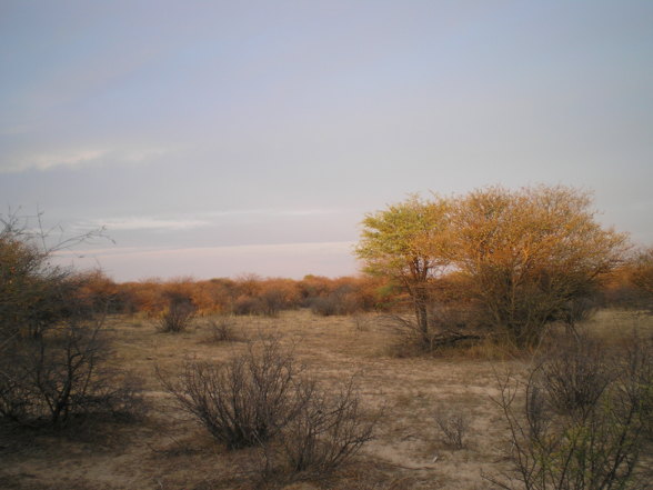 Botswana, Namibia, Südafrika - 