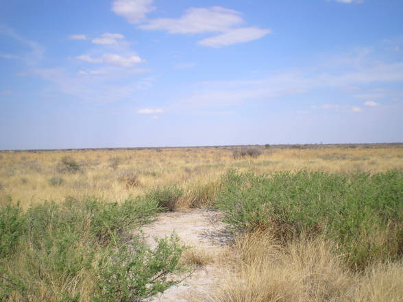 Botswana, Namibia, Südafrika - 