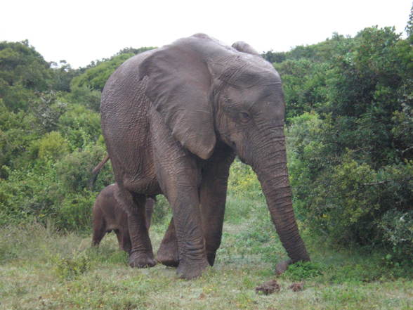 Botswana, Namibia, Südafrika 2 - 