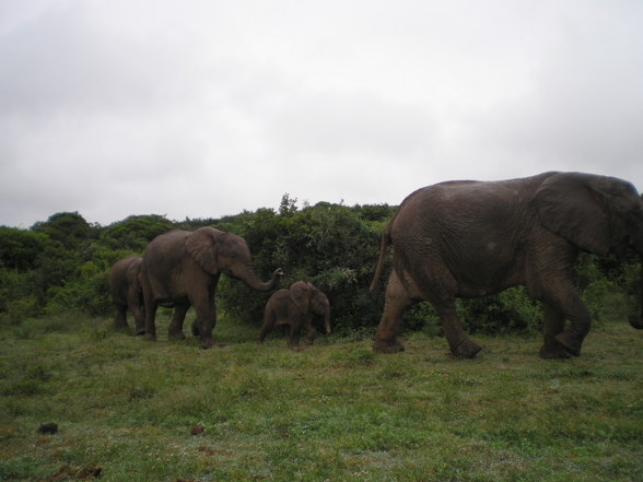 Botswana, Namibia, Südafrika 2 - 